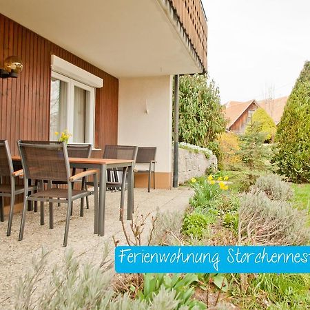Ferienwohnung Storchennest Mit E-Ladestation Waldshut-Tiengen Εξωτερικό φωτογραφία